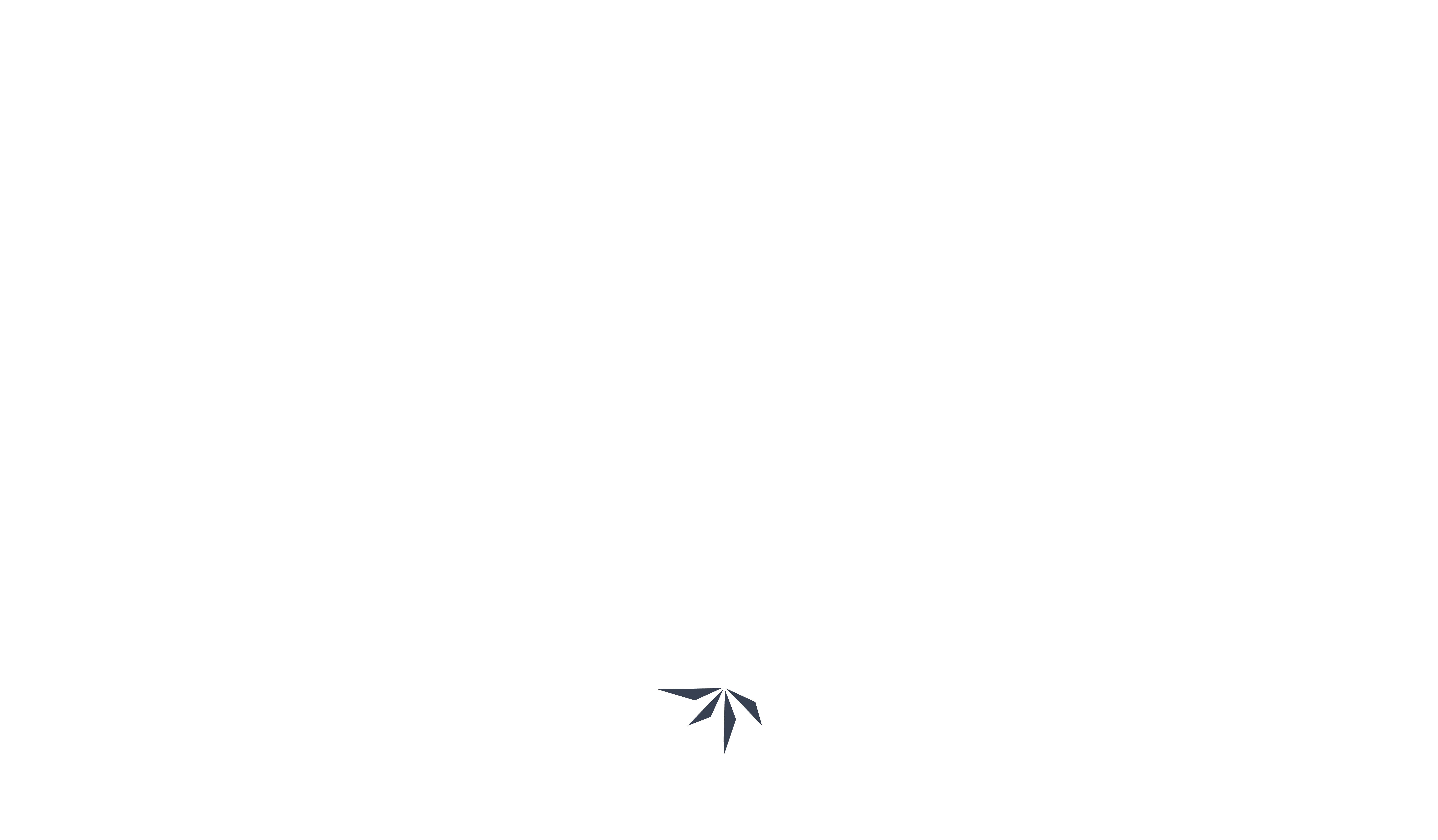 logo travellers experience